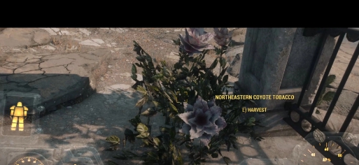 辐射4受沙漠启发的食品饮料和物品MOD v1.40 辐射4受沙漠启发的食品饮料和物品MOD v1.40