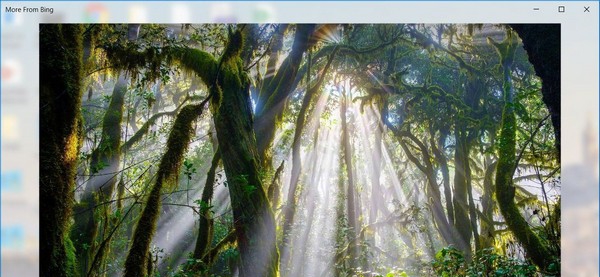 Windows Spotlight Tools(Win聚焦工具) v1.7.7 Windows Spotlight Tools(Win聚焦工具) v1.7.7