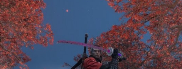 只狼影逝二度粉红刀MOD v2.34