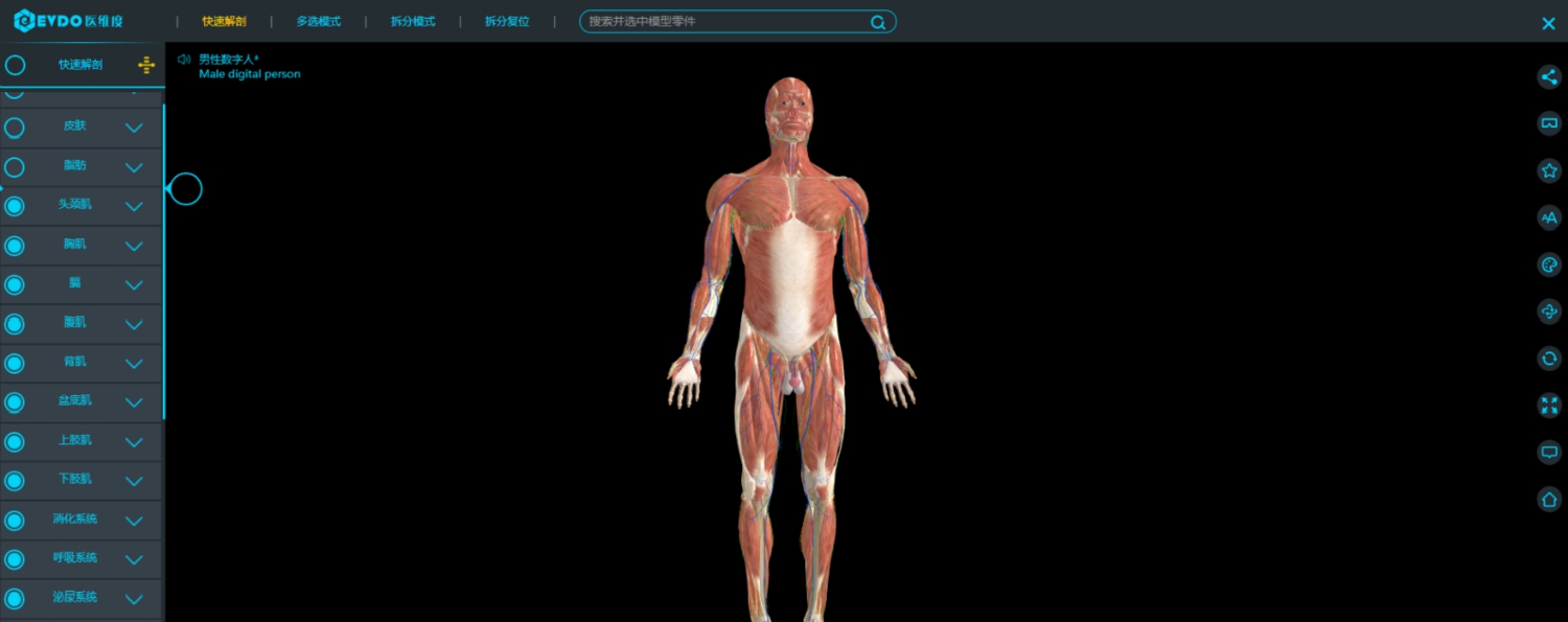 医维度3D解剖软件 V1.0.5 医维度3D解剖软件 V1.0.5