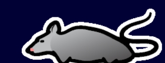 环世界美国负鼠v1.2MOD v2.87 环世界美国负鼠v1.2MOD v2.87