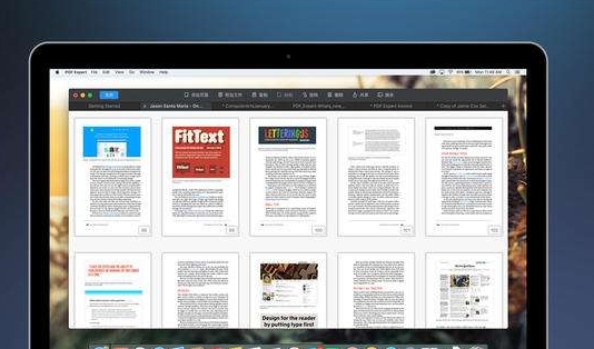 Nitro Pro 编辑器 v2.19