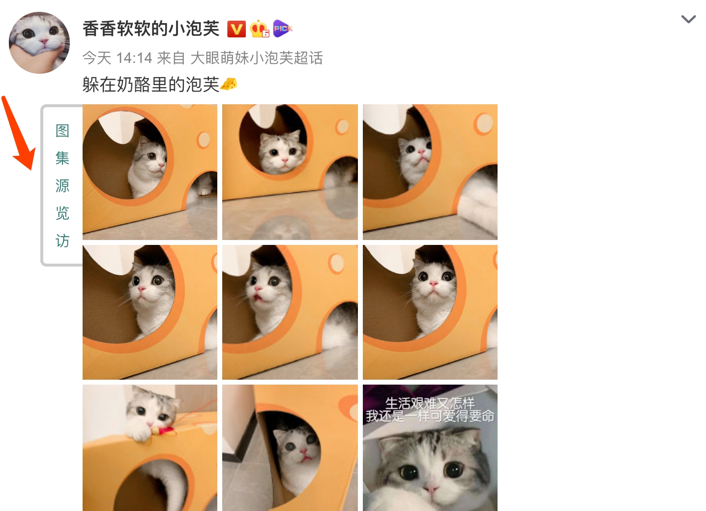 新浪微博之我要看大图插件 v1.3.2.11 新浪微博之我要看大图插件 v1.3.2.11
