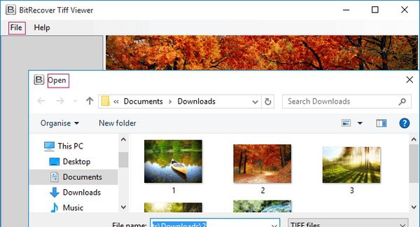 BitRecover Tiff Viewer(TIFF文件查看器) v2.6 BitRecover Tiff Viewer(TIFF文件查看器) v2.6