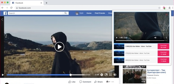 Video Downloader professional插件 v2.0.5 Video Downloader professional插件 v2.0.5