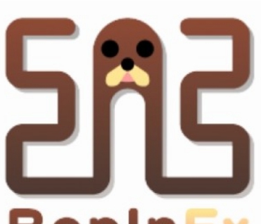 BepInEx游戏扩展工具 v5.4.5.5 BepInEx游戏扩展工具 v5.4.5.5