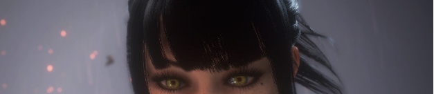 仁王2和风侧长发深眼影预设 v1.28