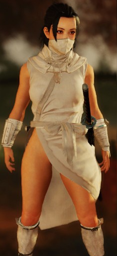 仁王2纯白无缘人套装MOD v2.84 仁王2纯白无缘人套装MOD v2.84