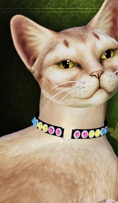 模拟人生4猫咪彩虹爱心项链MOD v1.13 模拟人生4猫咪彩虹爱心项链MOD v1.13
