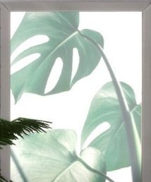 模拟人生4树叶印花挂画MOD v1.3 模拟人生4树叶印花挂画MOD v1.3