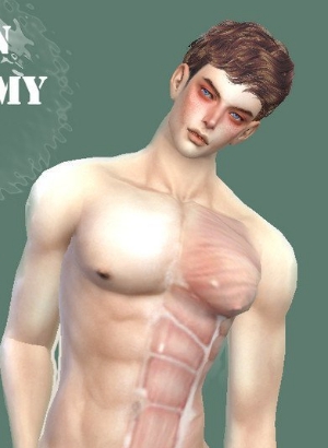模拟人生4人体解剖皮肤MOD v1.5 模拟人生4人体解剖皮肤MOD v1.5