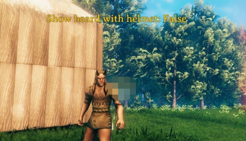 英灵神殿头发头盔和胡须显示切换功能MOD v0.2.5 英灵神殿头发头盔和胡须显示切换功能MOD v0.2.5
