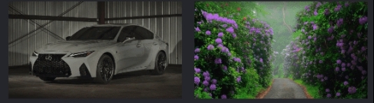 【诺亚方舟】8K壁纸下载器 v1.4 【诺亚方舟】8K壁纸下载器 v1.4