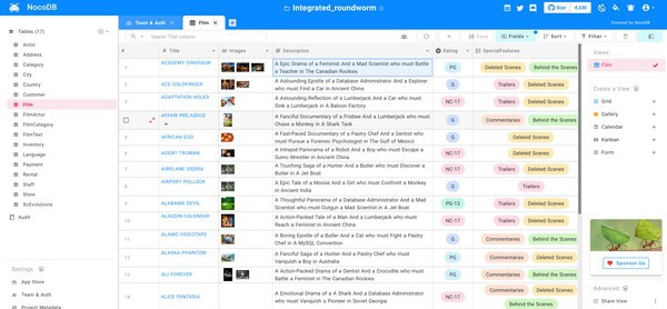 NocoDB(数据库转电子表格) v0.13 NocoDB(数据库转电子表格) v0.13