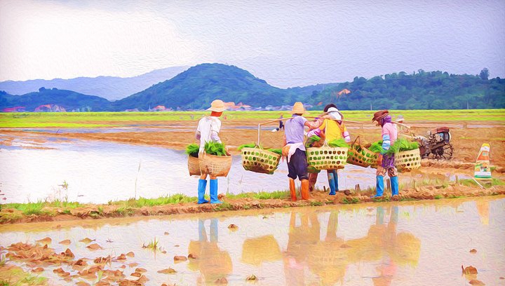 Topaz Simplify(PS水彩优化滤镜) v4.1.6 Topaz Simplify(PS水彩优化滤镜) v4.1.6