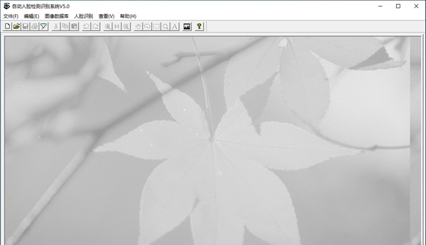 自动人脸检测识别系统 v5.6 自动人脸检测识别系统 v5.6