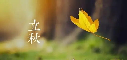 2021立秋朋友祝福文案精选 v1.6 2021立秋朋友祝福文案精选 v1.6