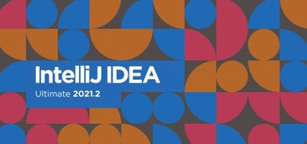IDEA2021 v2021.8 IDEA2021 v2021.8