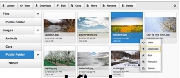 ckfinder(ajax文件管理器) v3.5.1.7 ckfinder(ajax文件管理器) v3.5.1.7
