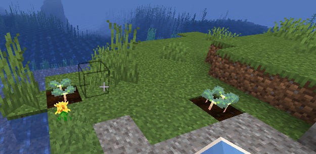 我的世界1.16.5豌豆作物MOD v1.4 我的世界1.16.5豌豆作物MOD v1.4