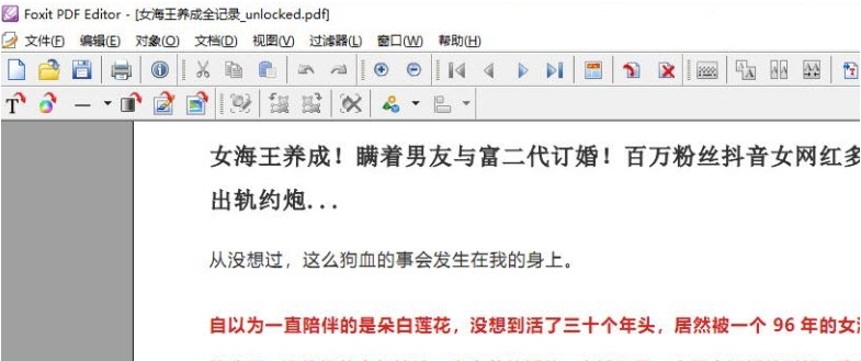 Foxit PDF编辑器 v2.21 Foxit PDF编辑器 v2.21