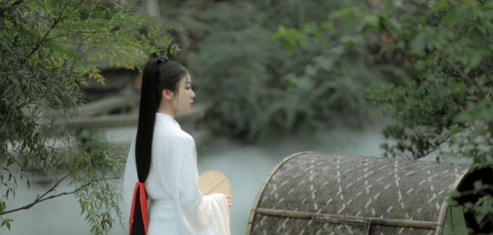 汉服视频下载器(hanfugui) v1.8 汉服视频下载器(hanfugui) v1.8