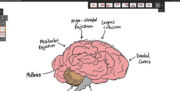 Mental Canvas(3D绘画软件) v1.0.19461.7 Mental Canvas(3D绘画软件) v1.0.19461.7