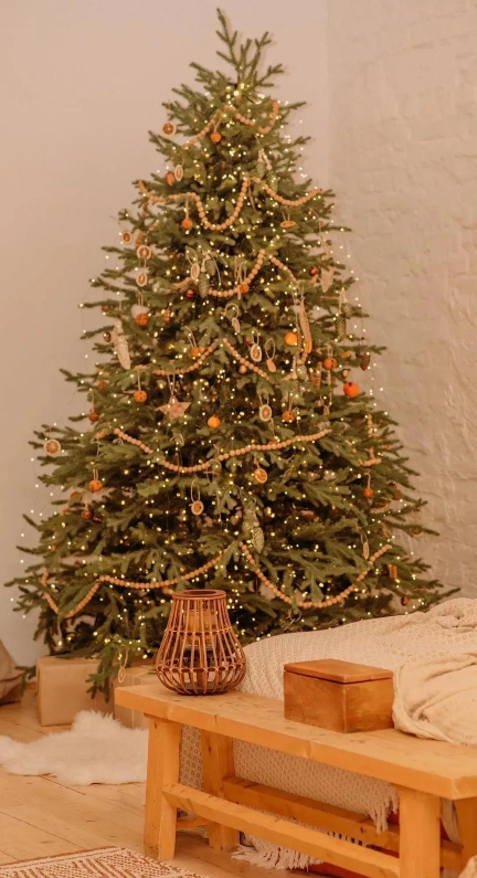 圣诞节高清手机壁纸素材 v1.8 圣诞节高清手机壁纸素材 v1.8