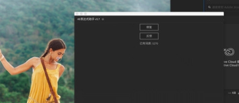 AE表达式助手 v5.13 AE表达式助手 v5.13