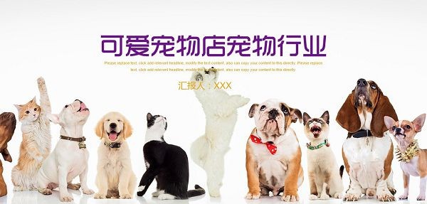 可爱宠物店宠物行业PPT模板 v3.15