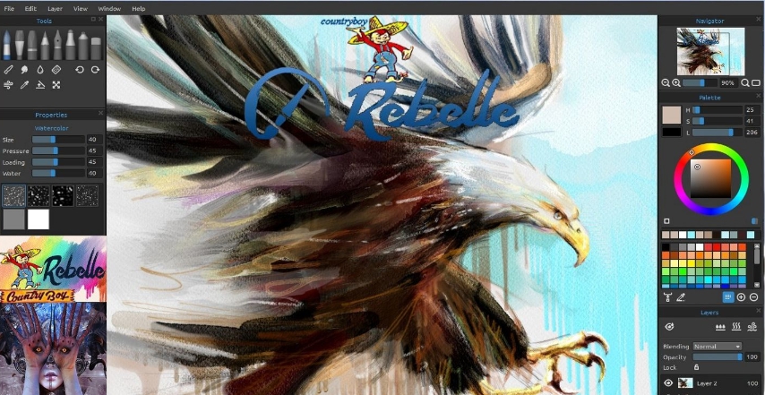 rebelle 5 pro(3D绘画) v9 rebelle 5 pro(3D绘画) v9