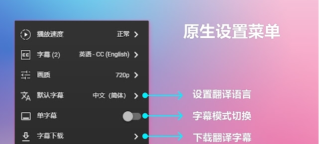 网页双字幕插件 v3.6.8 网页双字幕插件 v3.6.8
