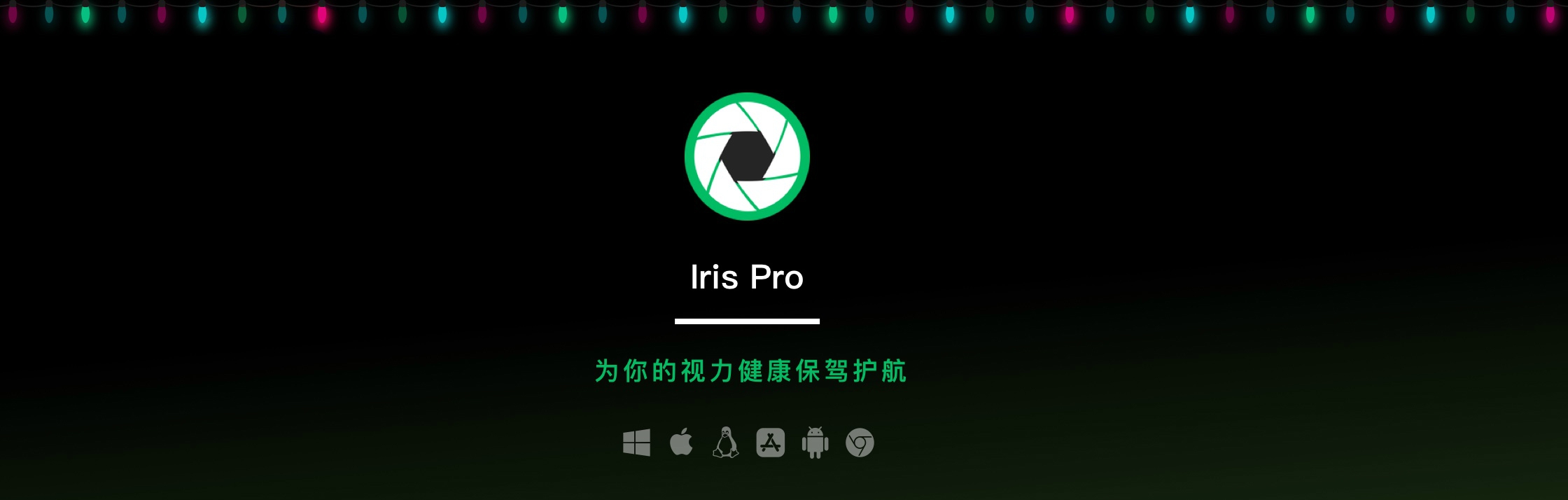 Iris Pro v2.45 Iris Pro v2.45
