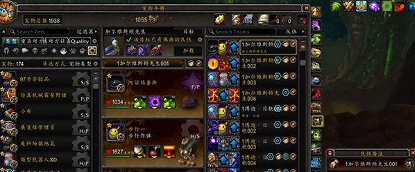 魔兽世界宠物插件 v9.6 魔兽世界宠物插件 v9.6