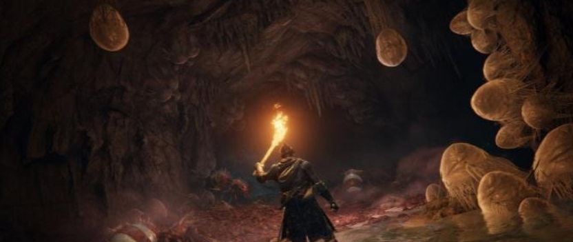 艾尔登法环黑暗之魂银骑士长枪取代长矛MOD v1.29 艾尔登法环黑暗之魂银骑士长枪取代长矛MOD v1.29