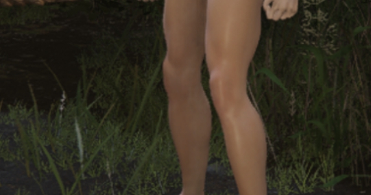 艾尔登法环更加美感的完美形态 v2.62 艾尔登法环更加美感的完美形态 v2.62