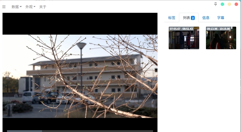 VideoManager v1.2.8 VideoManager v1.2.8