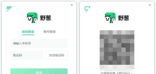 野葱 v1.1.1069.251 野葱 v1.1.1069.251