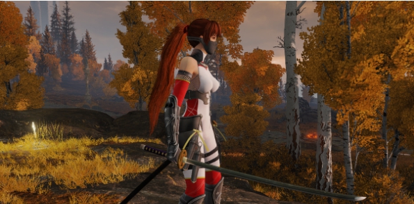 艾尔登法环DOA女忍者霞替换女王套装MOD v3.70 艾尔登法环DOA女忍者霞替换女王套装MOD v3.70