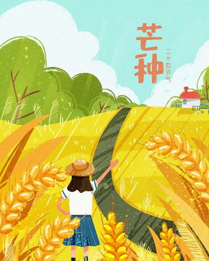 芒种手绘插画图片素材 v1.4 芒种手绘插画图片素材 v1.4