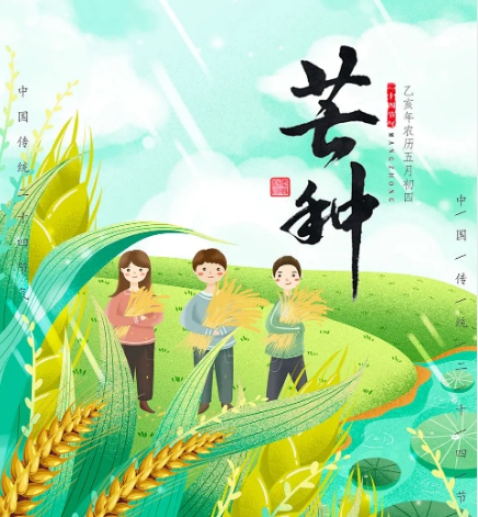 芒种节气宣传海报图片素材 v1.6 芒种节气宣传海报图片素材 v1.6