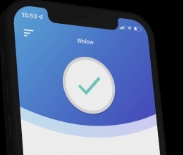 Wolow电脑伴侣 v16.0.31206.179 Wolow电脑伴侣 v16.0.31206.179