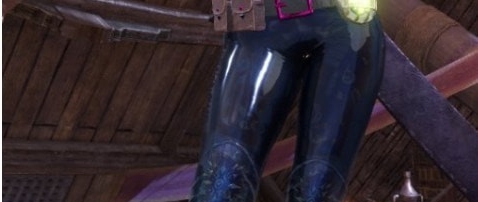 怪物猎人世界冰原女性角色紧身胶裤MOD v3.14 怪物猎人世界冰原女性角色紧身胶裤MOD v3.14