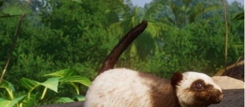 动物园之星增添新物种吕宋巨云鼠MOD v1.49 动物园之星增添新物种吕宋巨云鼠MOD v1.49