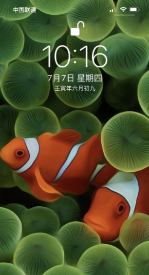 iOS16Beta3小丑鱼壁纸素材 v1.6 iOS16Beta3小丑鱼壁纸素材 v1.6