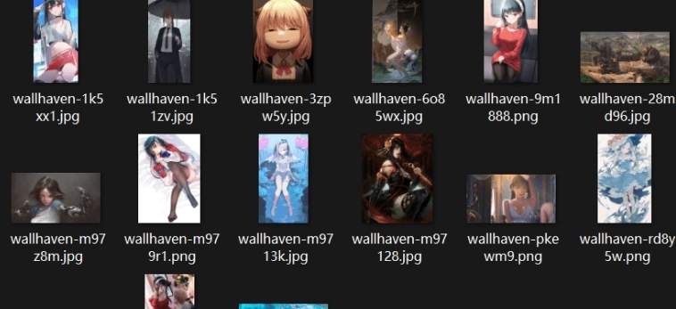 Wallhaven壁纸下载工具 v1.7 Wallhaven壁纸下载工具 v1.7