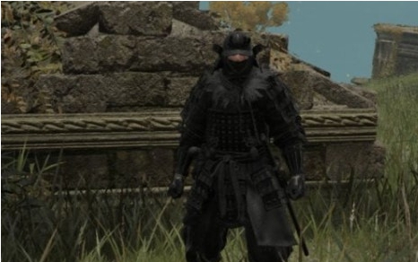 艾尔登法环黑暗武士版芦苇之地铠甲MOD v3.26 艾尔登法环黑暗武士版芦苇之地铠甲MOD v3.26