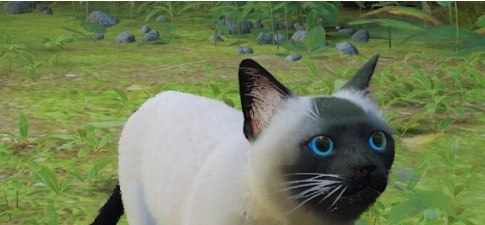 迷失Stray超萌蓝眼暹罗猫MOD v2.24