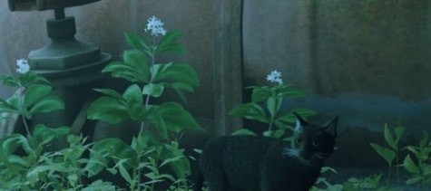 迷失高冷白胡子黑猫MOD v2.55 迷失高冷白胡子黑猫MOD v2.55