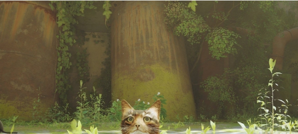 Stray棕毛猫MOD v1.31 Stray棕毛猫MOD v1.31